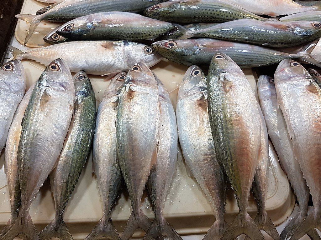 Ikan yang Cocok untuk Penderita Darah Tinggi